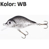 wobler-holo-select-carpan-jaxon