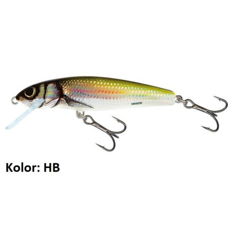 Wobler Salmo Minnow M5F 5cm hb Wobler Salmo Minnow M5F 5cm hb