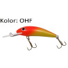 wobler-kalipso-sdr-gloog