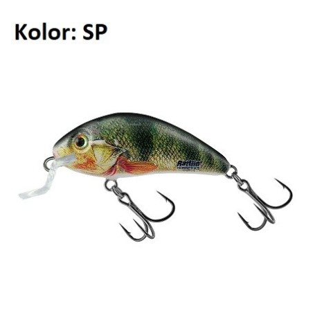 Wobler Salmo Rattlin Hornet Shallow 3,5cm SP Wobler Salmo Rattlin Hornet Shallow 3,5cm SP