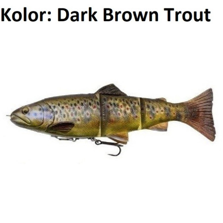 Przynęta Savage Gear 4D Line Thru Trout 25cm rainbow