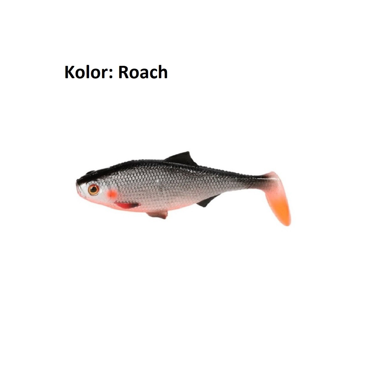 przyneta-mft-roach-12-cm-mikado przyneta-mft-roach-12-cm-mikado