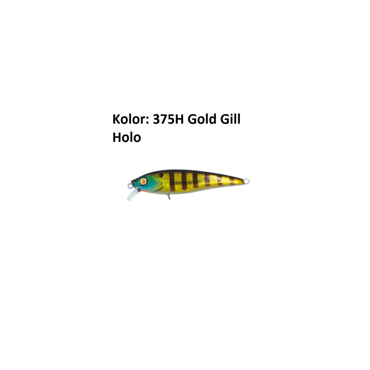 wobler-hopi-70-damiki wobler-hopi-70-damiki