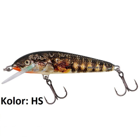 Wobler Salmo Minnow M5F 5cm HS-Holo Stickleback Wobler Salmo Minnow M5F 5cm HS-Holo Stickleback