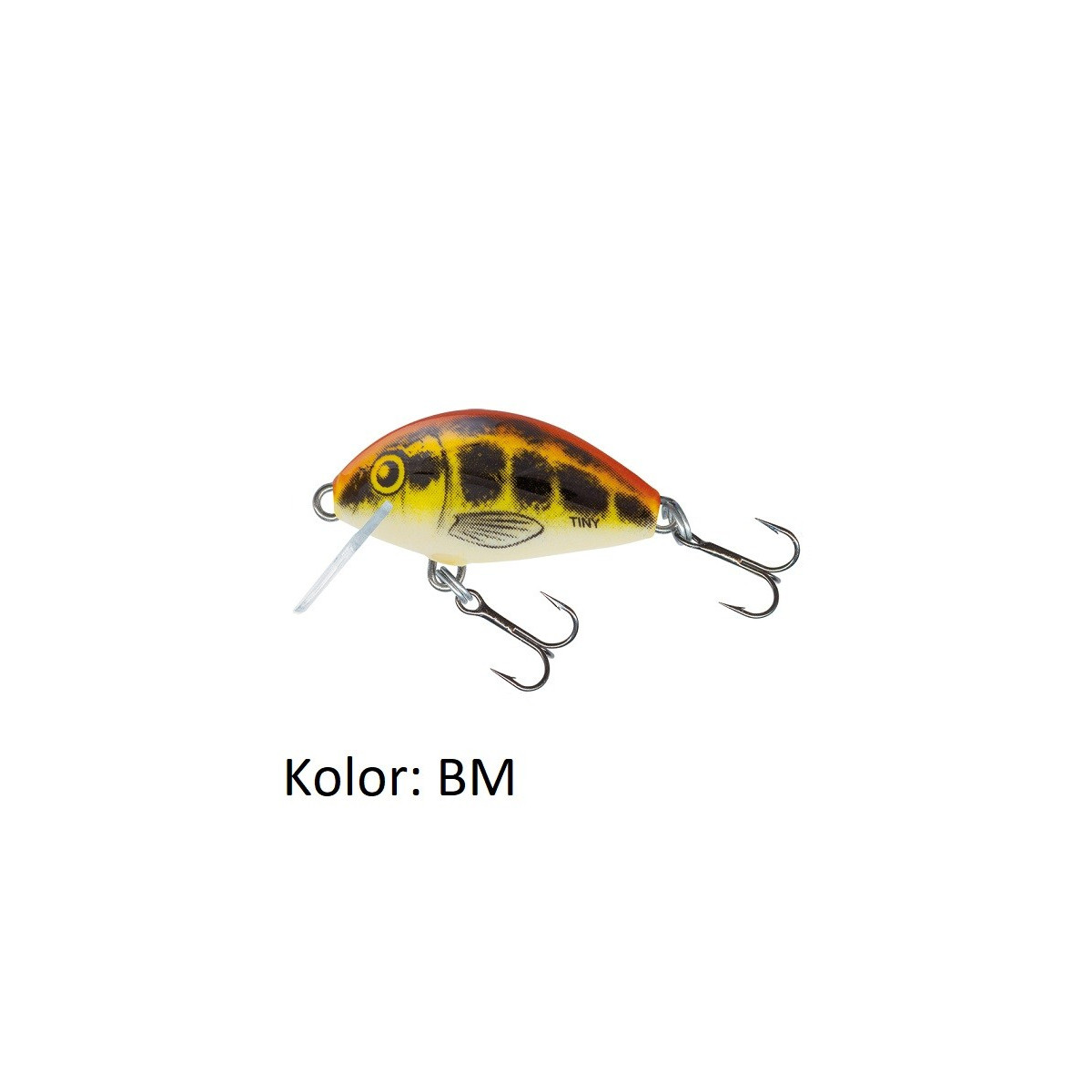 wobler-tiny-it3f-rozne-kolory-salmo wobler-tiny-it3f-rozne-kolory-salmo