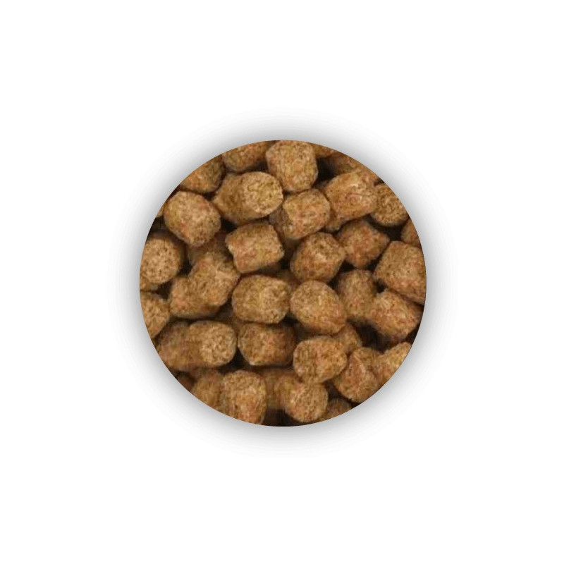 Pellet SKRETTING Coarse Fish 4kg - 8,5mm Coarse Fish Rybny Pellet SKRETTING Coarse Fish 4kg - 8,5mm Coarse Fish Rybny