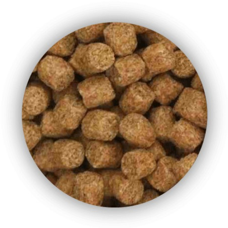 Pellet SKRETTING Coarse Fish 4kg - 8,5mm Coarse Fish Rybny