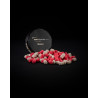 wafters-skunks-escafeeder