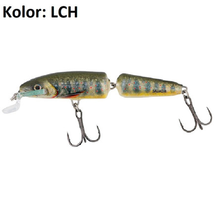 Wobler Salmo Fanatic IF7F 7cm LCH - Lake Charr