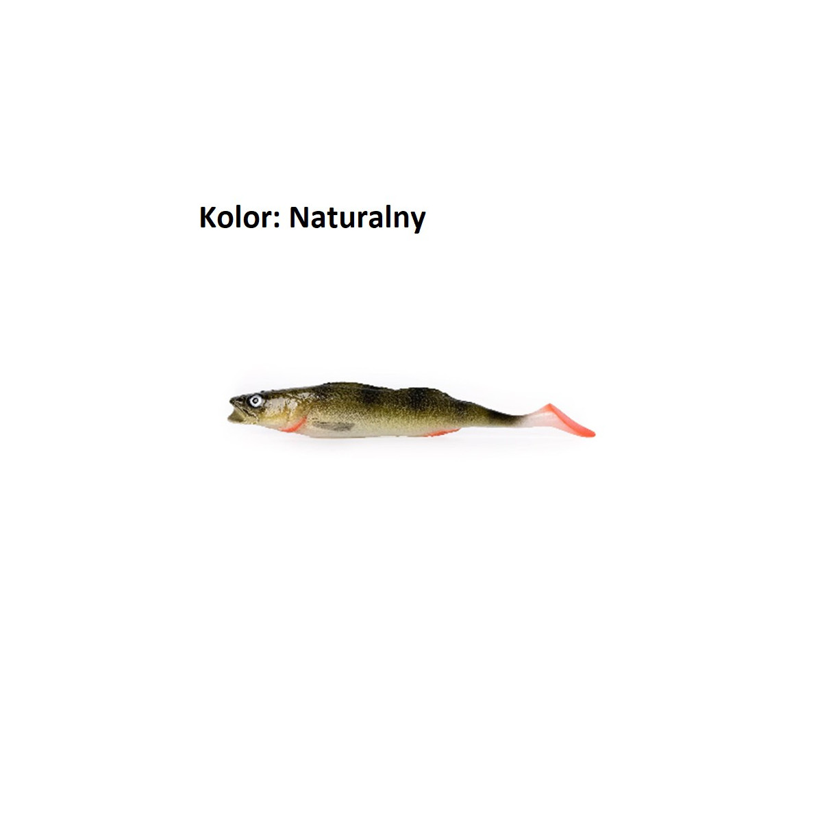 przyneta-sandacz-18-cm-alpha-real-fish przyneta-sandacz-18-cm-alpha-real-fish