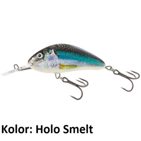Wobler Salmo Hornet H9F 9cm Holo Smelt Wobler Salmo Hornet H9F 9cm Holo Smelt