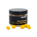 Live System Dumbell Wafters 10 x 14mm CC Moore Live System Dumbell Wafters 10 x 14mm CC Moore