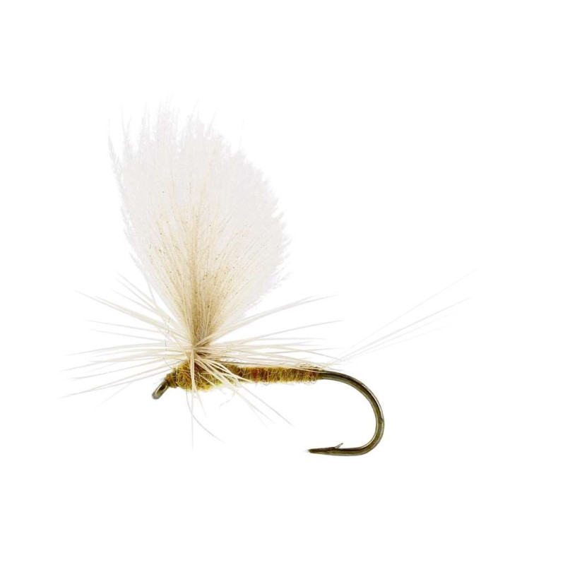 Sztuczna sucha mucha Ulphurea Dun TMC100 Ginger Unique Flies Sztuczna sucha mucha Ulphurea Dun TMC100 Ginger Unique Flies