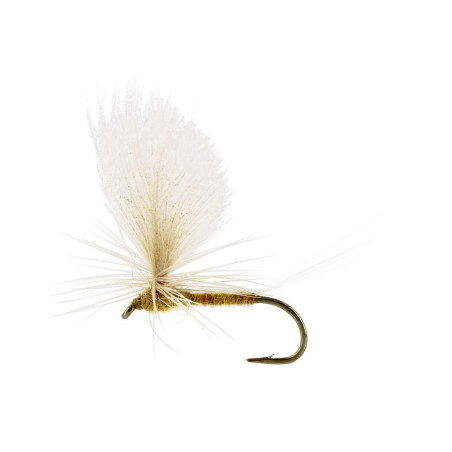 Sztuczna sucha mucha Ulphurea Dun TMC100 Ginger Unique Flies Sztuczna sucha mucha Ulphurea Dun TMC100 Ginger Unique Flies