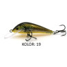 wobler-troc-bonito