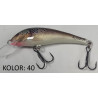 wobler-teczak-plywajacy-bonito