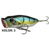 wobler-florida-york
