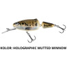 wobler-frisky-fr7dr-salmo