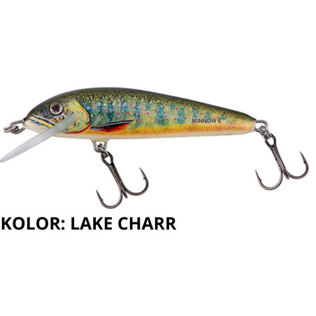 Wobler Salmo Minnow M5S 5cm lake charr Wobler Salmo Minnow M5S 5cm lake charr