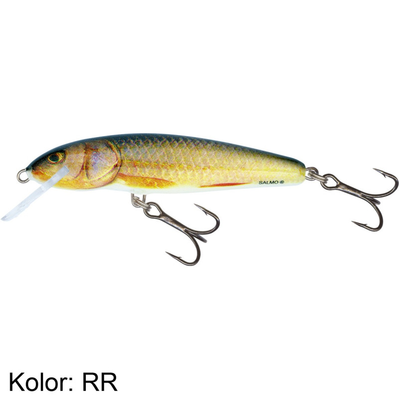 Wobler Salmo Minnow M6S 6cm LCH-Lake Charr Wobler Salmo Minnow M6S 6cm LCH-Lake Charr