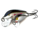 Count Down CD09 9cm Gold Rapala Count Down CD09 9cm Gold Rapala