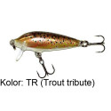 Count Down CD09 9cm rainbow trout Rapala