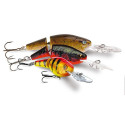 Wobler Rapala Jointed Shad Rap 5 cm BBSD Wobler Rapala Jointed Shad Rap 5 cm BBSD