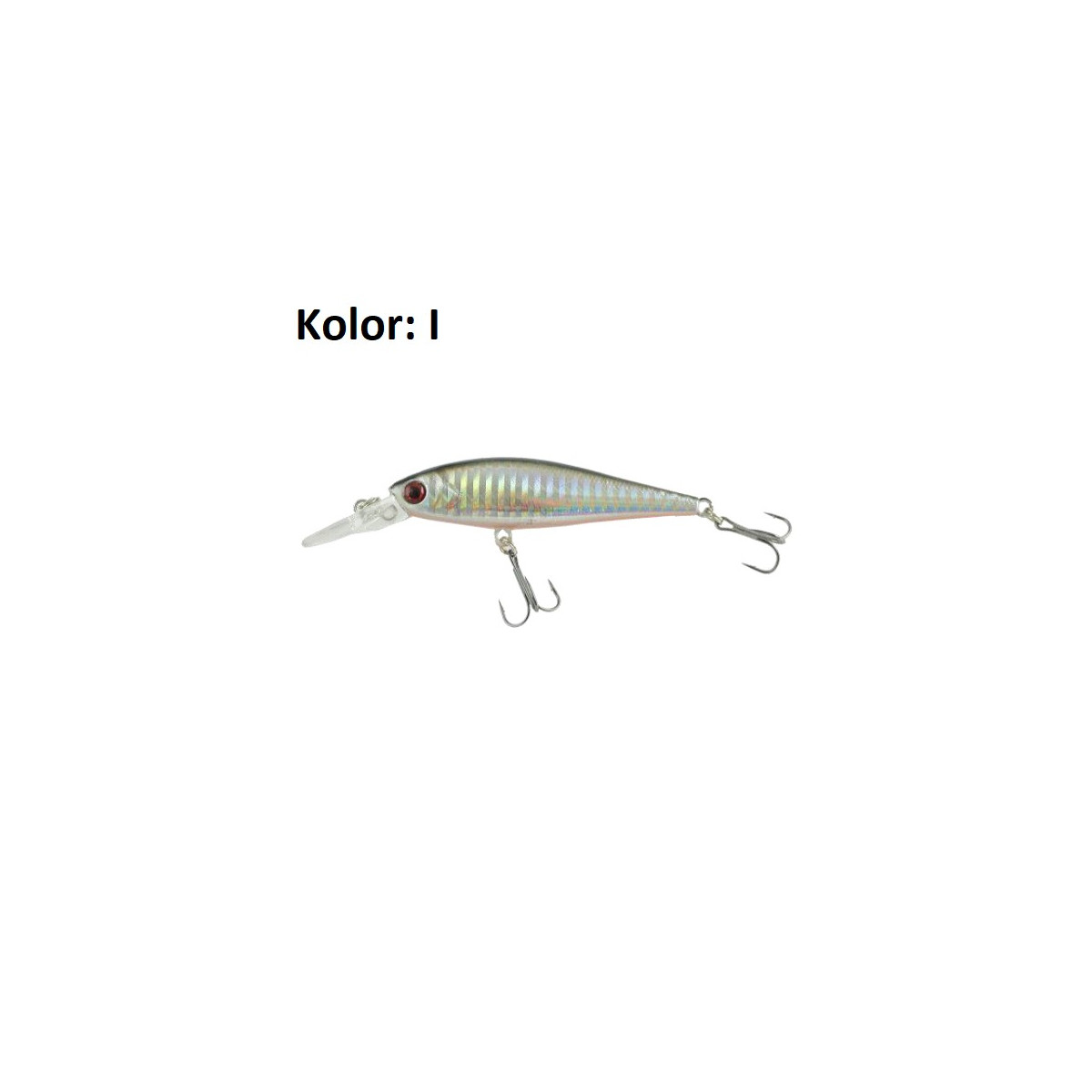 wobler-trefl-xhd-jaxon