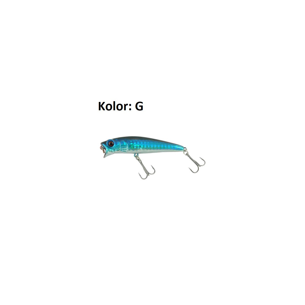 wobler-edar-xhe-jaxon