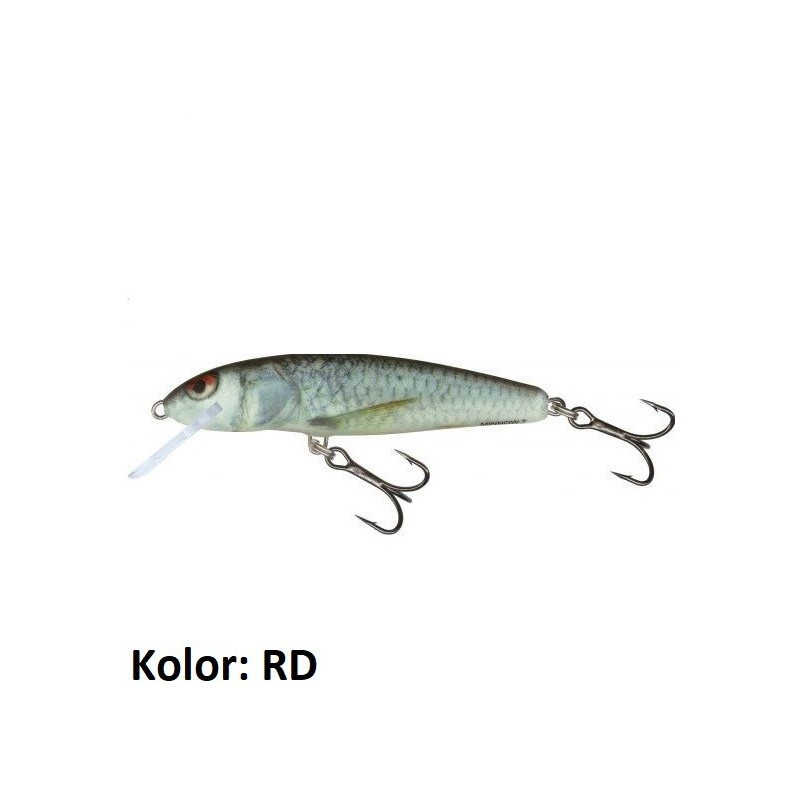 Wobler Salmo Minnow M6F, różne kolory 6cm RBT Wobler Salmo Minnow M6F, różne kolory 6cm RBT