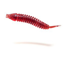 Przynęta Fishbay Węgorz / EEL OPK 10 szt. 6cm 3 Przynęta Fishbay Węgorz / EEL OPK 10 szt. 6cm 3
