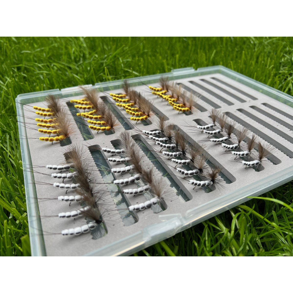 jetka-majowa-mucha-greszta-fishing jetka-majowa-mucha-greszta-fishing