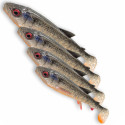Przynęta Savage Gear 3D Whitefish Shad 23 cm - 1szt. Perch Przynęta Savage Gear 3D Whitefish Shad 23 cm - 1szt. Perch
