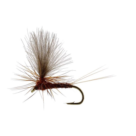 Sztuczna sucha mucha Vespertina Dun TMC100 brązowy Unique Flies Sztuczna sucha mucha Vespertina Dun TMC100 brązowy Unique Flies