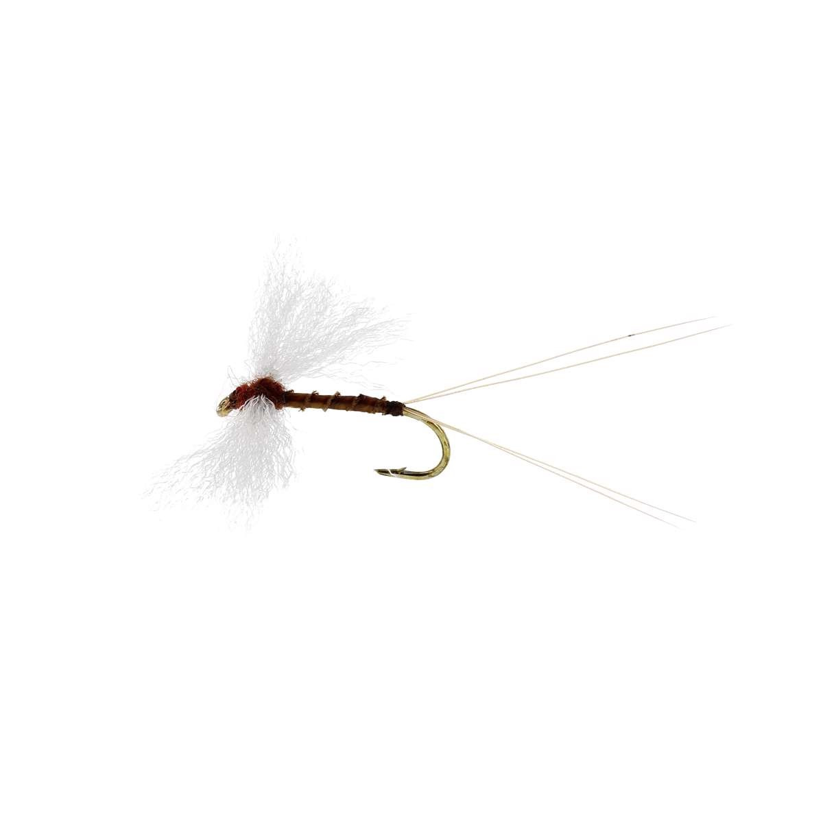 sztuczna-sucha-mucha-marginata-spinner-biot-tmc100-unique-flies sztuczna-sucha-mucha-marginata-spinner-biot-tmc100-unique-flies