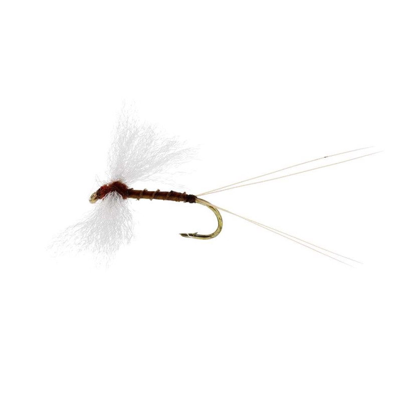Sztuczna sucha mucha Marginata Spinner Biot TMC100 brązowy Unique Flies Sztuczna sucha mucha Marginata Spinner Biot TMC100 brązowy Unique Flies