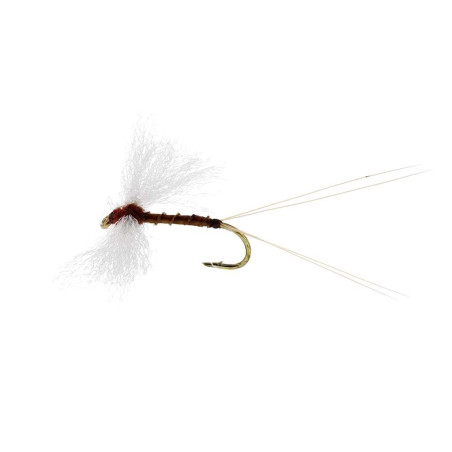 Sztuczna sucha mucha Marginata Spinner Biot TMC100 brązowy Unique Flies Sztuczna sucha mucha Marginata Spinner Biot TMC100 brązowy Unique Flies