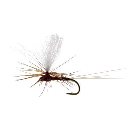 Sztuczna sucha mucha Marginata Dun Biot TMC100 brązowy Unique Flies Sztuczna sucha mucha Marginata Dun Biot TMC100 brązowy Unique Flies