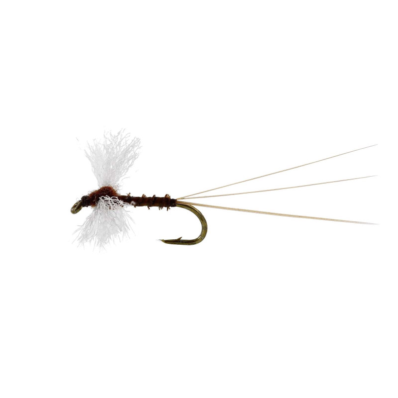 Sztuczna sucha mucha Vespertina Spinner Biot TMC100 brązowy Unique Flies Sztuczna sucha mucha Vespertina Spinner Biot TMC100 brązowy Unique Flies