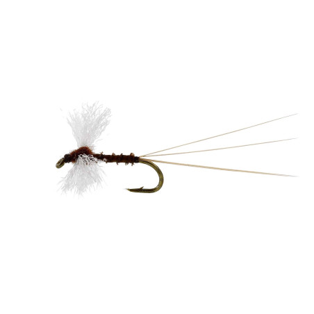 Sztuczna sucha mucha Vespertina Spinner Biot TMC100 brązowy Unique Flies Sztuczna sucha mucha Vespertina Spinner Biot TMC100 brązowy Unique Flies