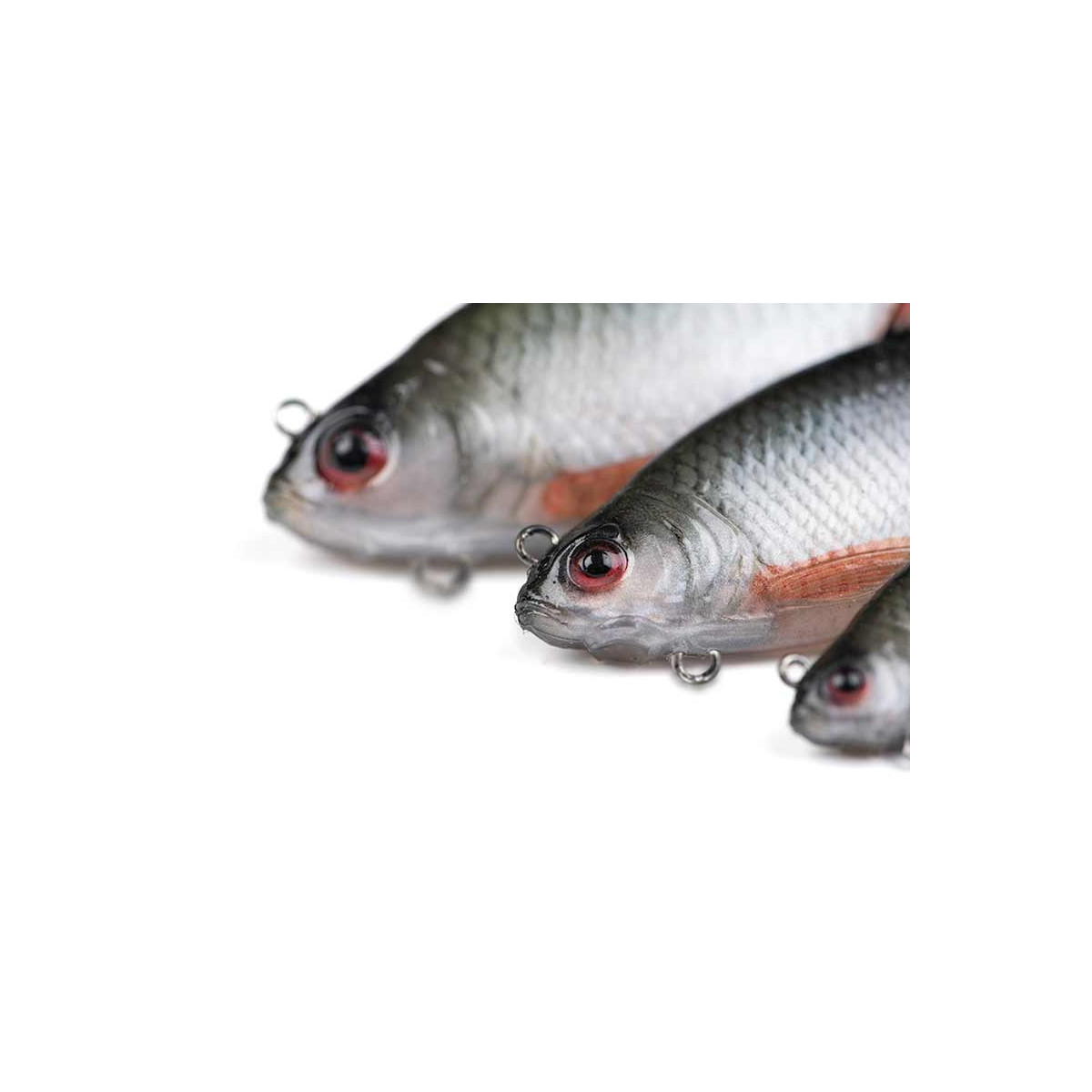 przyneta-ultra-realistic-roach-replicant-foxrage przyneta-ultra-realistic-roach-replicant-foxrage