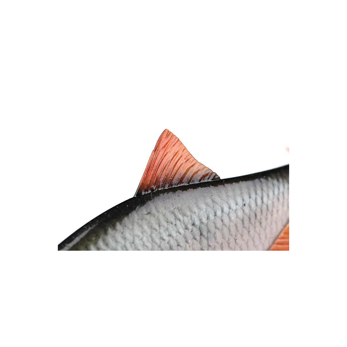 przyneta-ultra-realistic-roach-replicant-foxrage