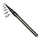 Wędka Robinson Flexcore Tele Roach 300cm / 10-30g