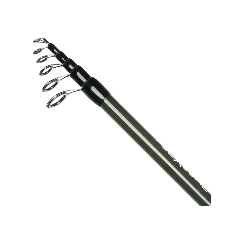 Wędka Robinson Flexcore Tele Roach 300cm / 10-30g