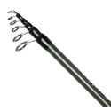 Wędka Robinson Flexcore Tele Roach 270cm / 10-30g