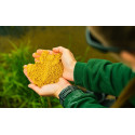 Zanęta BaitNow Method Feeder 800g - O'Fish Sweet Zanęta BaitNow Method Feeder 800g - O'Fish Sweet