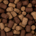 Przynęta BaitNow O'Fish Wafters 8mm - Fish Betaine Przynęta BaitNow O'Fish Wafters 8mm - Fish Betaine