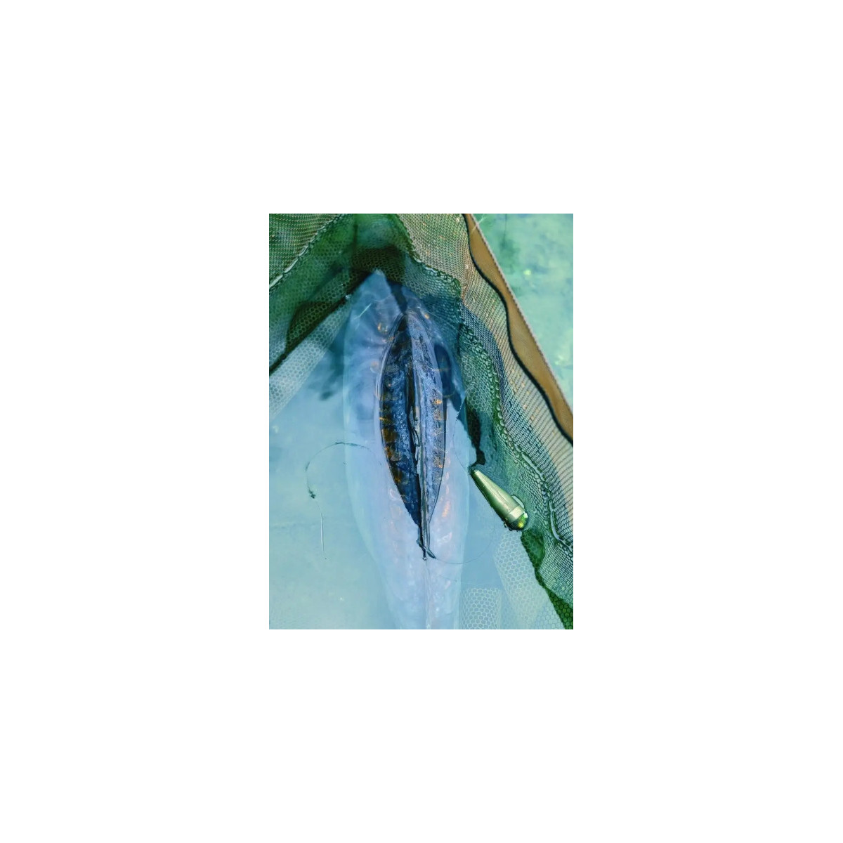 Worek do ważenia i przetrzymywania ryb Trakker Sanctuary T1 Retention Sling 120x50x22cm Worek do ważenia i przetrzymywania ryb Trakker Sanctuary T1 Retention Sling 120x50x22cm