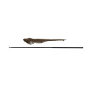 Podbierak Fox Horizon X3 42" 6ft Landing Net Podbierak Fox Horizon X3 42" 6ft Landing Net