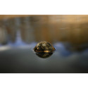 Echosonda Deeper Sonar CHIRP+ 4 Echosonda Deeper Sonar CHIRP+ 4
